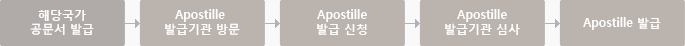 공문서(국/공립대/공무원 경력증명서 등) 아포스티유 발급절차 : 1.해당국가 공문서 발급 - 2.Apostille 발급기관 방문 - 3. Apostille 발급 신청 - 4.Apostille 발급기관 심사 - 5.Apostille 발급
