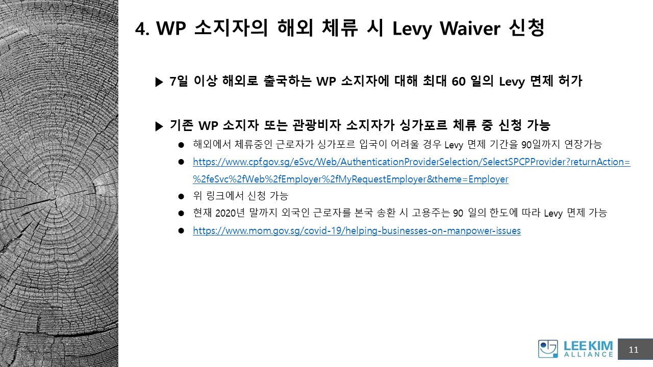 COVID-19 으로 인한 싱가포르 비자 관련 세미나