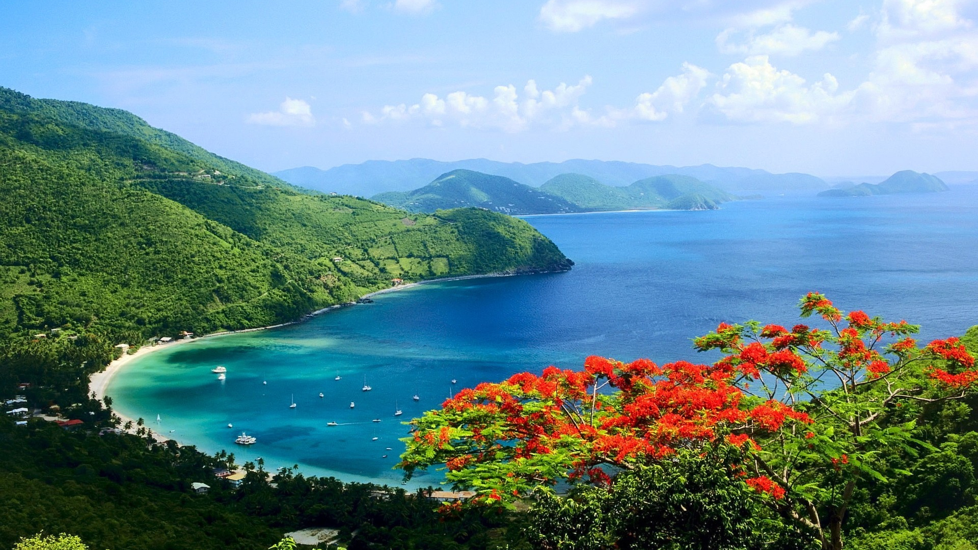 오프쇼어 법인 설립 1 KIzqCk