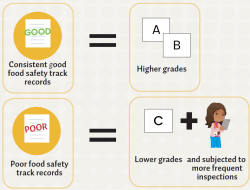 69b39ee137cf95440690